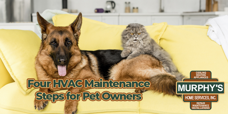 Four HVAC Maintenance Steps for Pet Owners